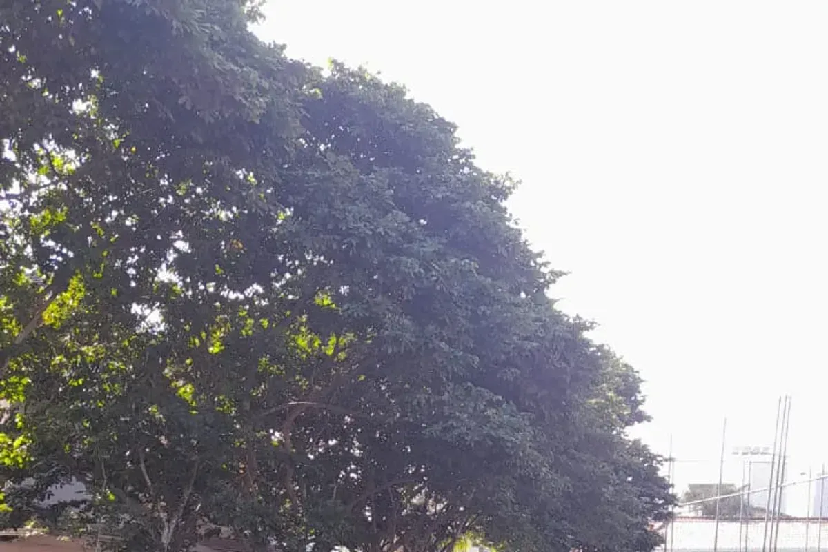Escorrega Radical