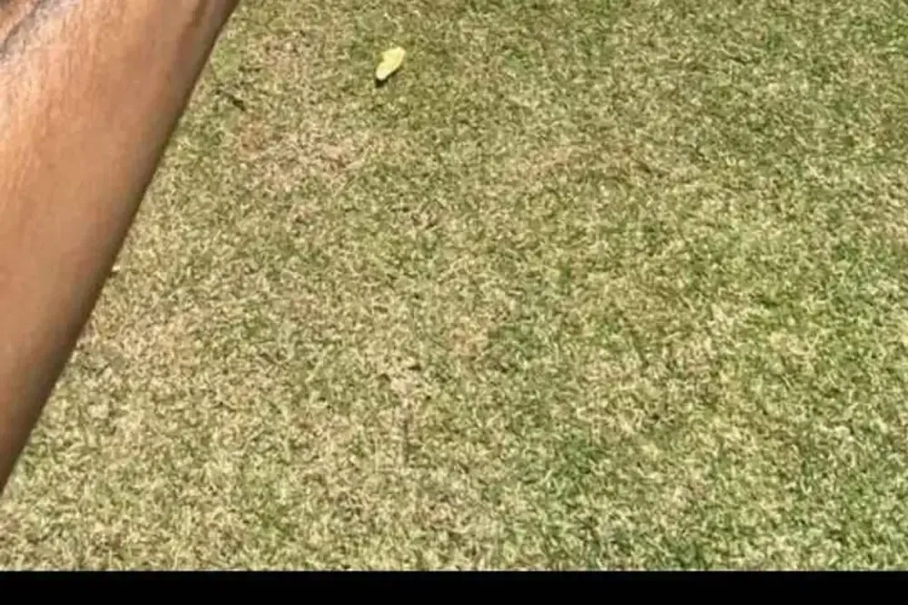 Tiro ao Alvo / Nerf